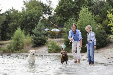 Honden zijn welkom