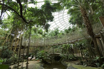 Jungle Dome op het Heijderbos