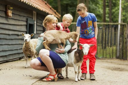 Kinderboerderij