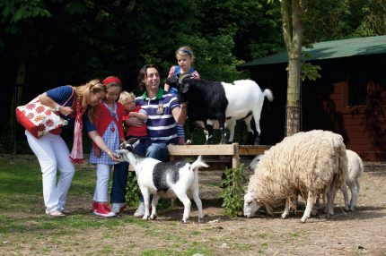 Spelen met Dieren