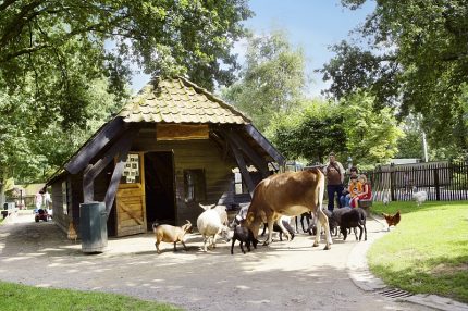 Kinderboerderij op het Meerdal