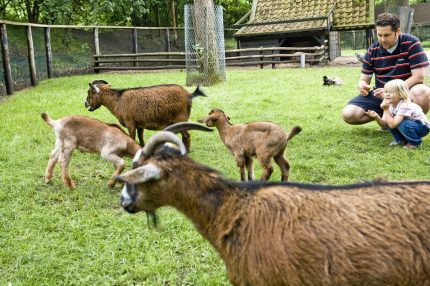 Kinderboerderij