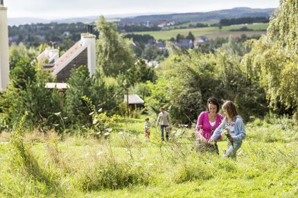 Park Hochsauerland