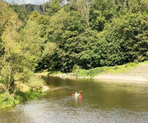 Kajakken ardennen