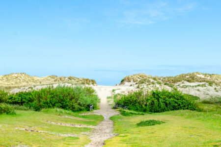Strand duinen pad