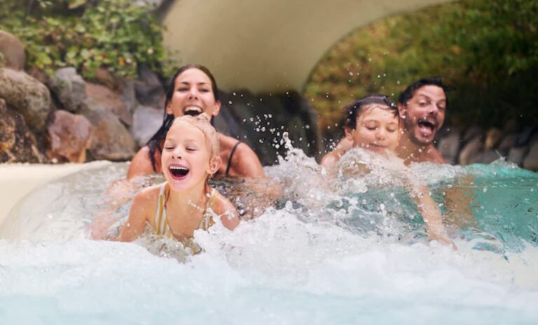 preprocessed Preprocessed