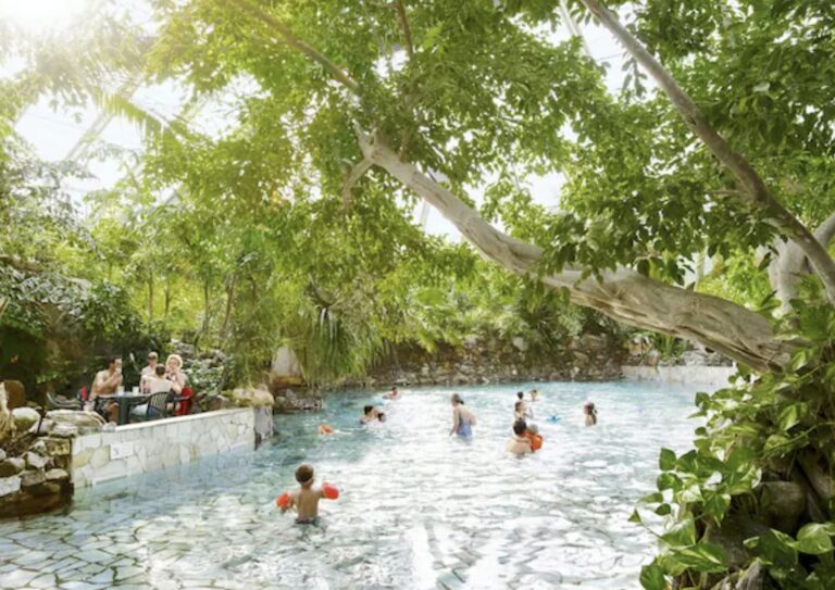 pexels-1585669-3077837 Pexels 1585669 3077837