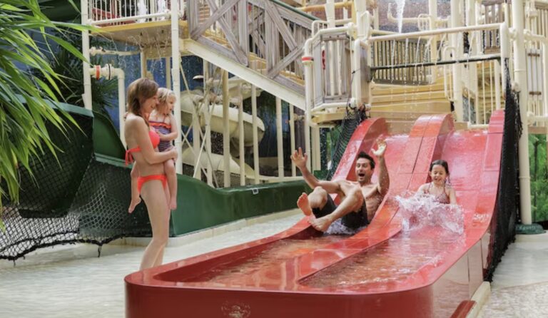 pexels-1585669-3077837 Pexels 1585669 3077837