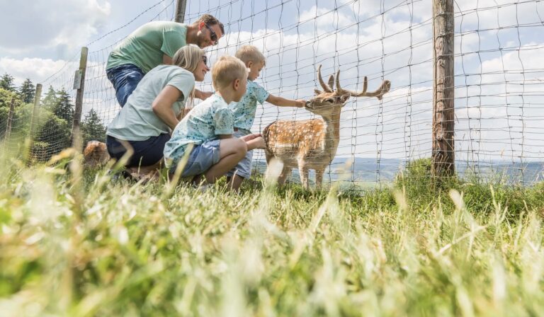 pexels-1585669-3077837 Pexels 1585669 3077837