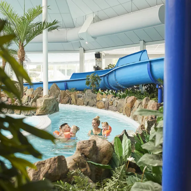 Pexels 1585669 3077837