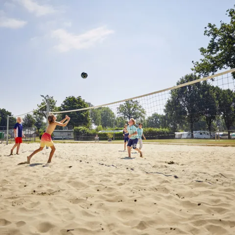 Buitenhof de leistert strand 10.jpg