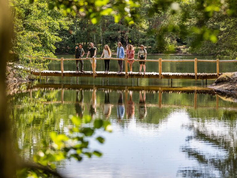 pexels-1585669-3077837 Pexels 1585669 3077837