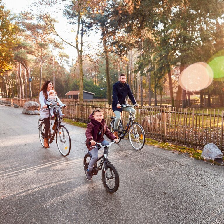 Center parcs erperheide aktivitaeten 10.jpg