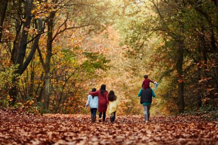 Center Parcs Het Heijderbos