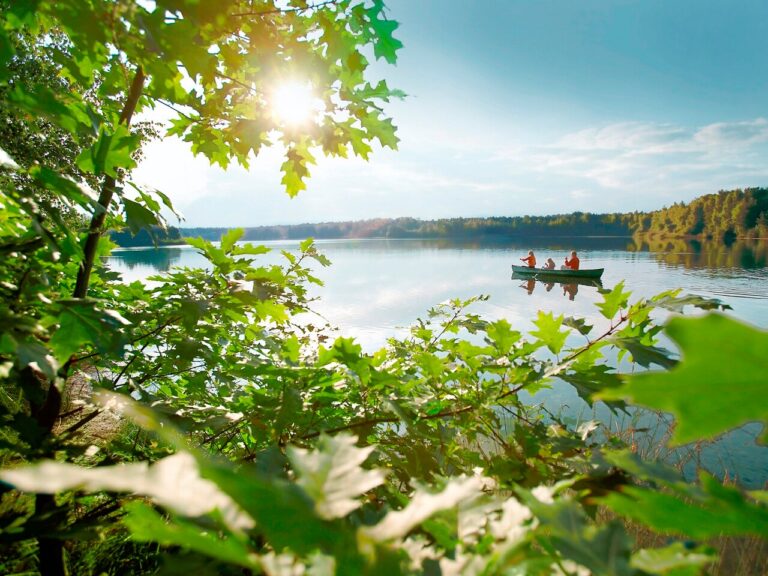 pexels-1585669-3077837 Pexels 1585669 3077837