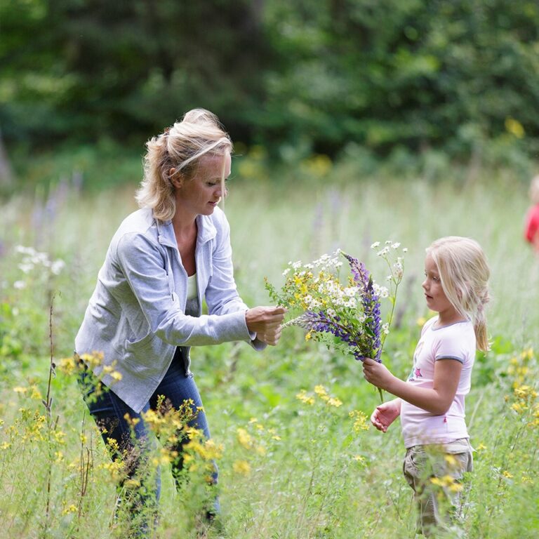Center parcs park bostalsee natur 07.jpg