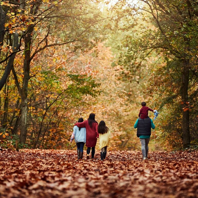 Center parcs park hochsauerland natur 03.jpg