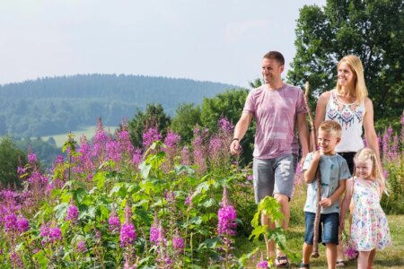 Eifelpark Kronenburger See