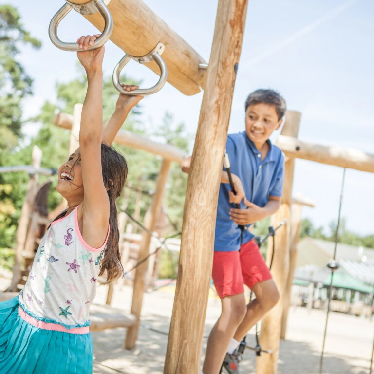 Landal coldenhove spielplatz 08.jpg