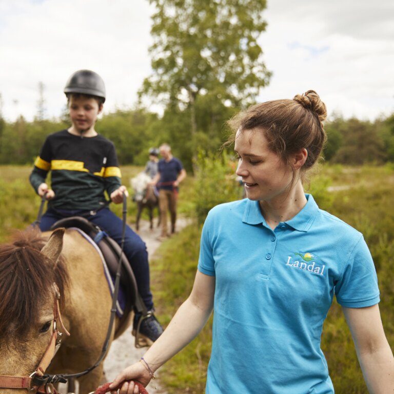 Landal het land van bartje aktivitaeten 08.jpg