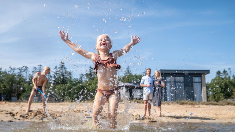 Pexels 1585669 3077837