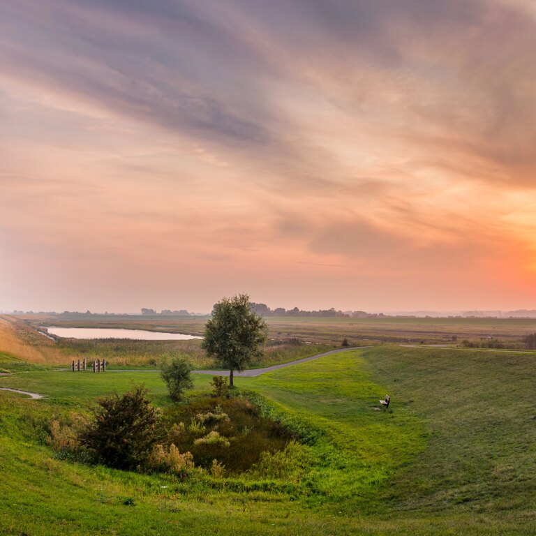 Landal residence t hof van haamstede natur 09.jpg