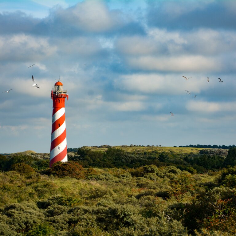 Landal residence t hof van haamstede natur 10.jpg