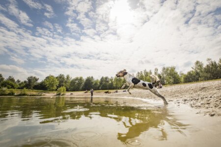 Landal Twenhaarsveld