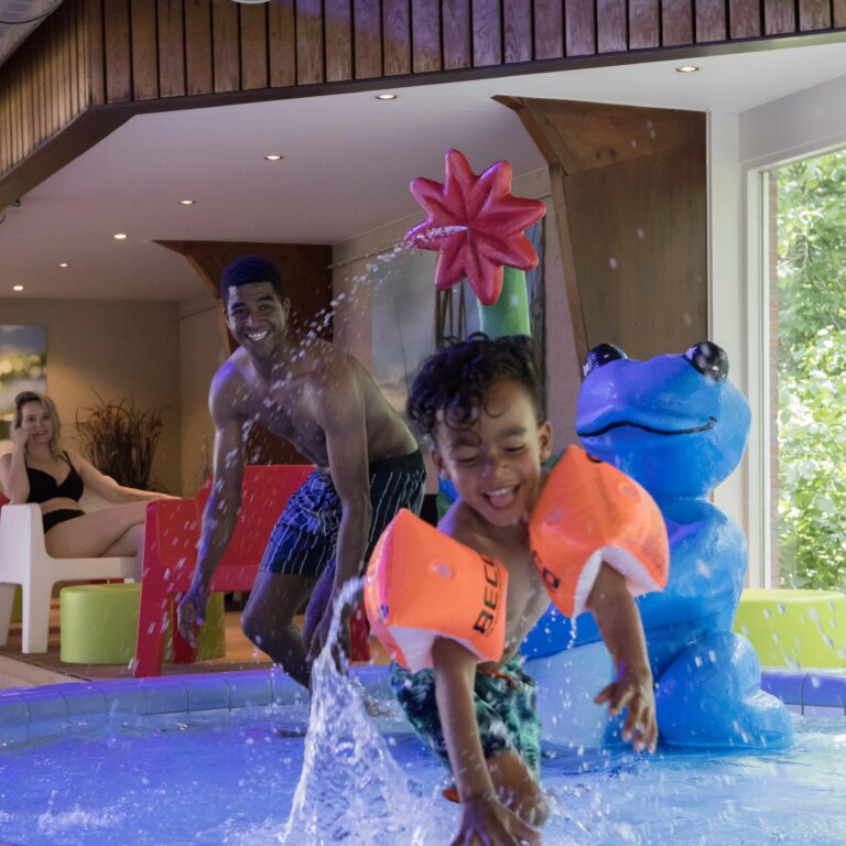 Landal twenhaarsveld schwimmbad 03.jpg