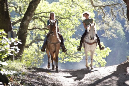 Landal Village les Gottales