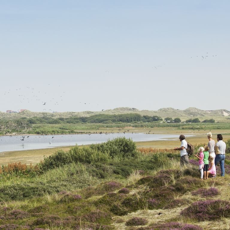 Landal villapark vogelmient natur 10.jpg
