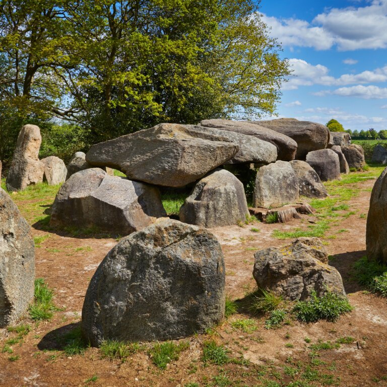 Roompot bospark lunsbergen natur 09.jpg