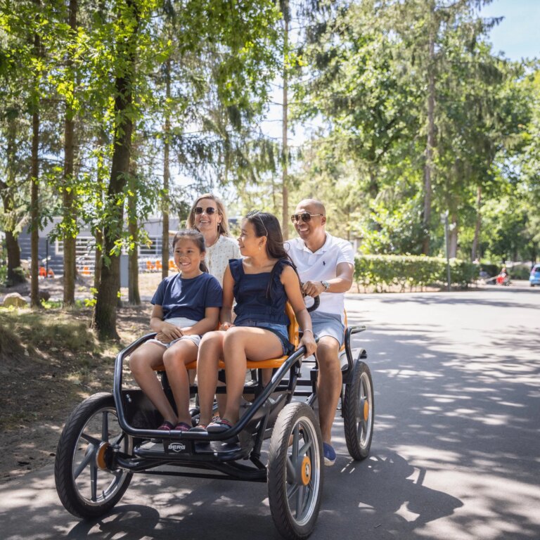 Roompot bospark t wolfsven aktivitaeten 07.jpg