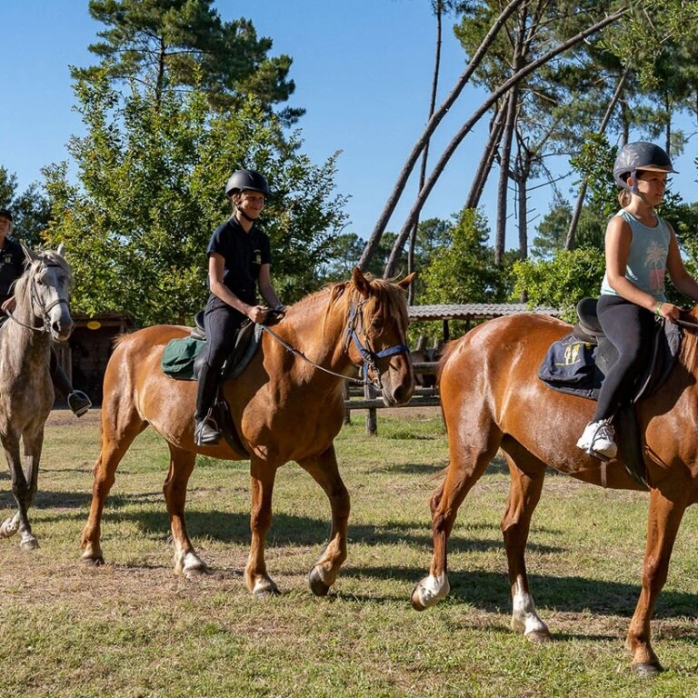 Roompot de katjeskelder aktivitaeten 09.jpg