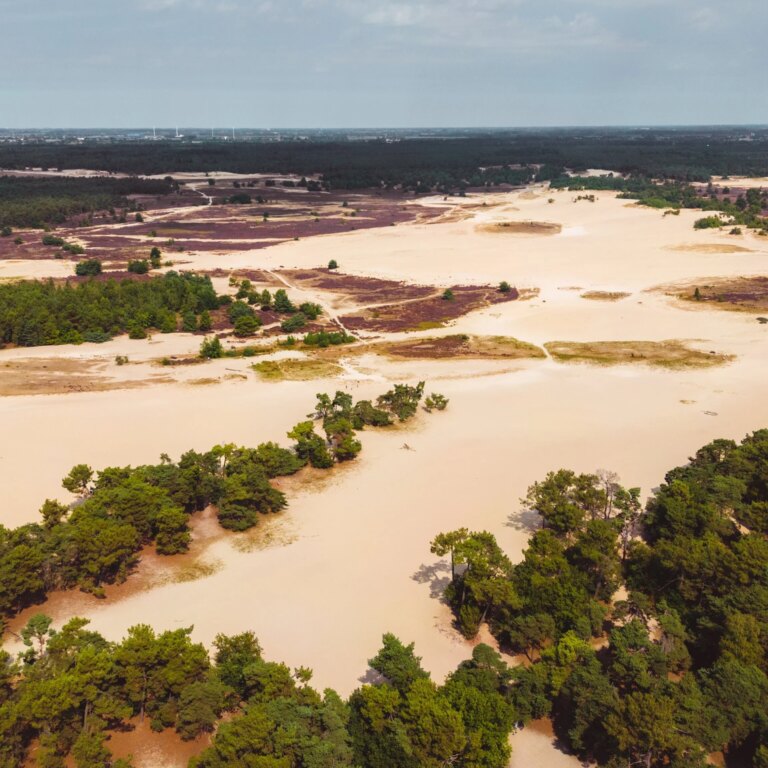 Roompot de katjeskelder natur 05.jpg