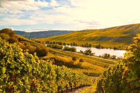 Roompot Ferienresort Cochem