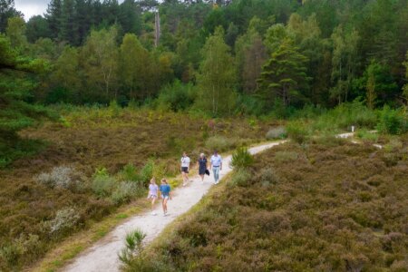 Roompot Kustpark Egmond aan Zee