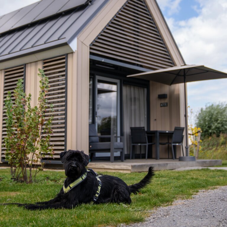 Roompot zeebad unterkunft aussen 02.jpg