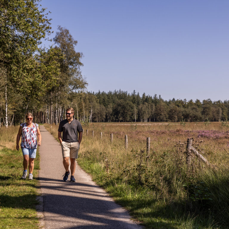 Summio parc duc de brabant spa 10.jpg