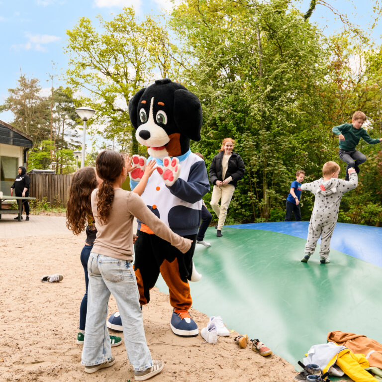 Summio parc heihaas aktivitaeten 09.jpg