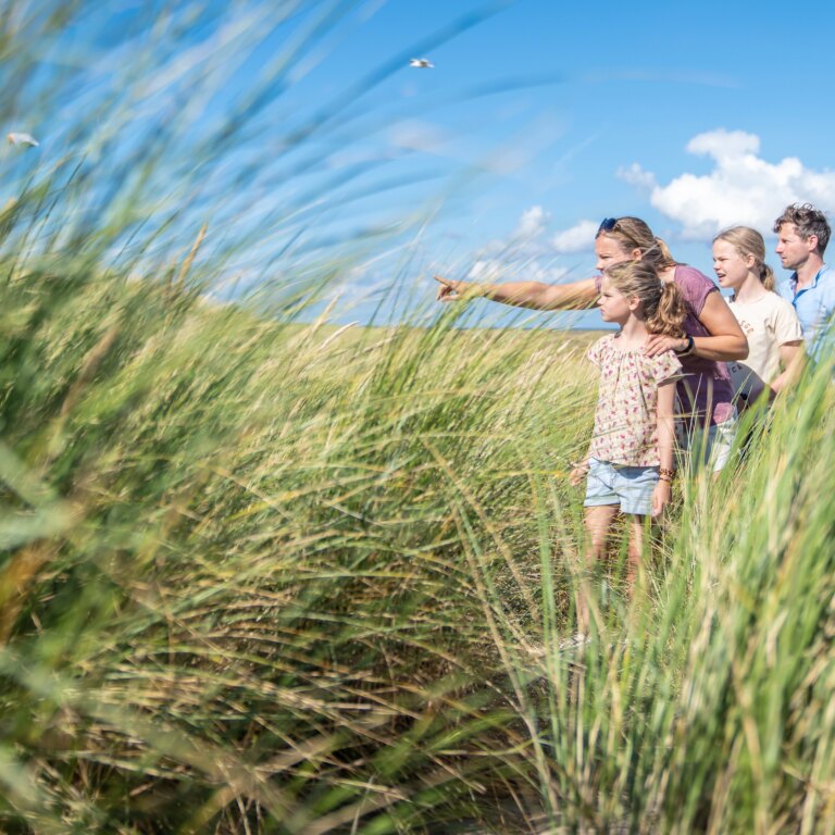 Landal residence berger duinen natur 09.jpg