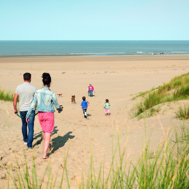 Landal strand resort ouddorp duin strand 02.jpg