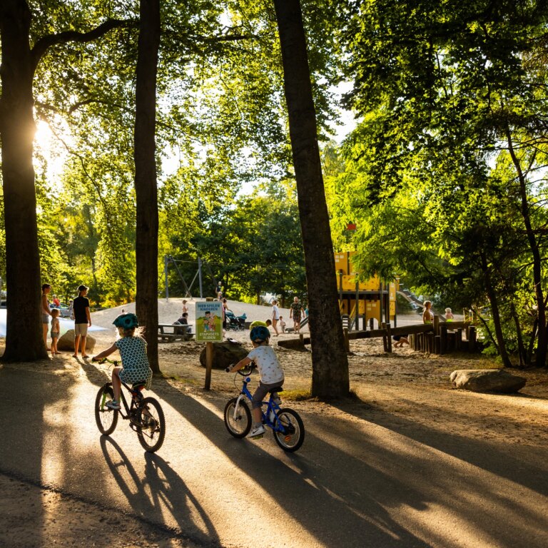 Rcn vakantiepark het grote bos spielplatz 09.jpg