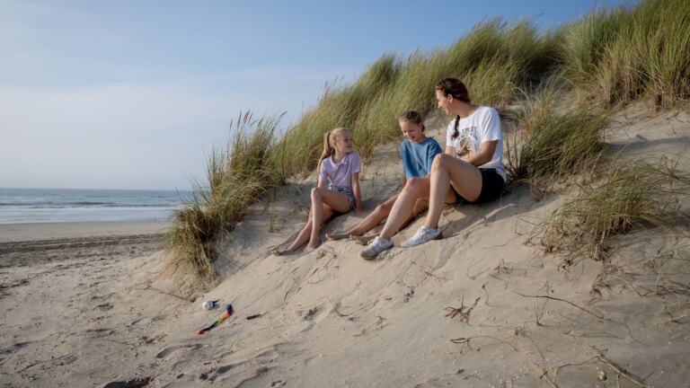 Pexels 1585669 3077837