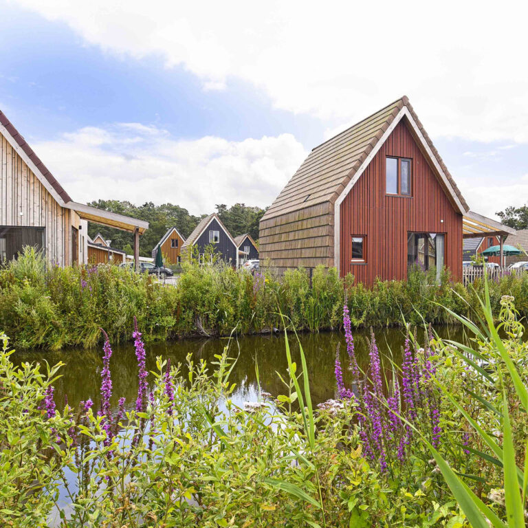 pexels-1585669-3077837 Pexels 1585669 3077837