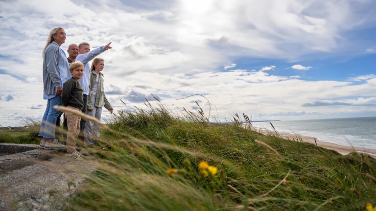 Pexels 1585669 3077837