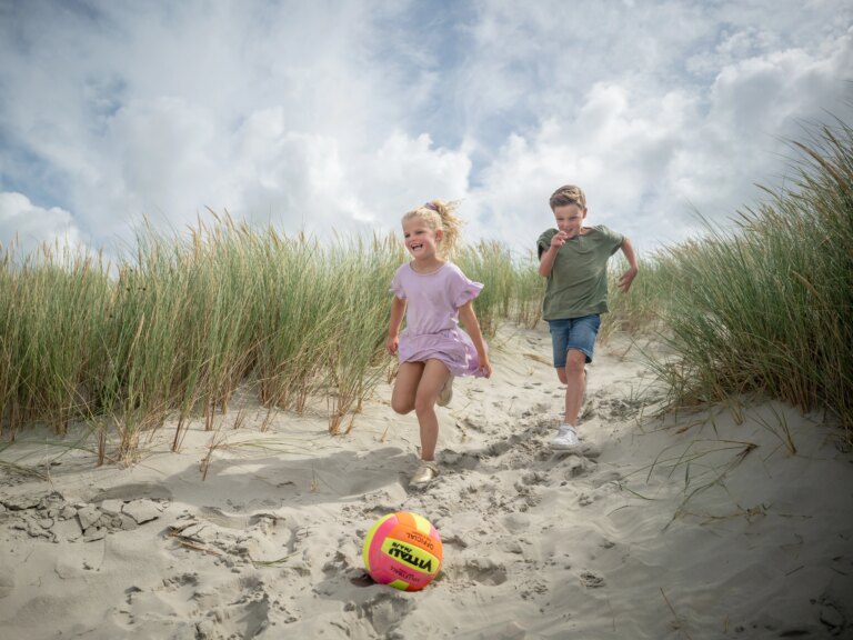 Pexels 1585669 3077837