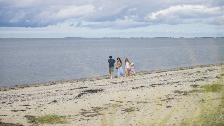 Pexels 1585669 3077837