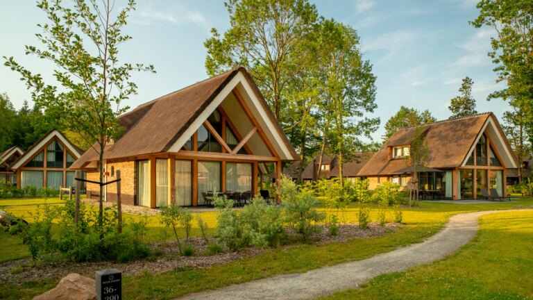 Pexels 1585669 3077837