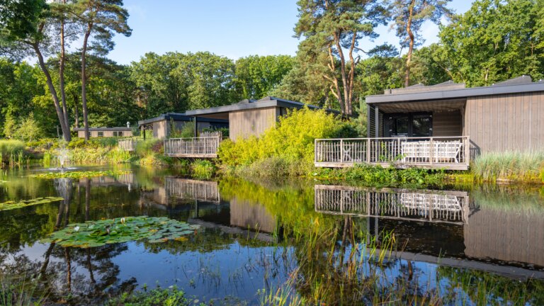 Pexels 1585669 3077837